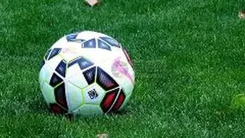 NBA名将因球技受损改行征战格斗界，飞行恐惧限制仅出战三场